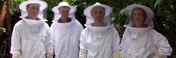 bee team-2