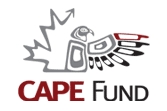 CAPE Fund