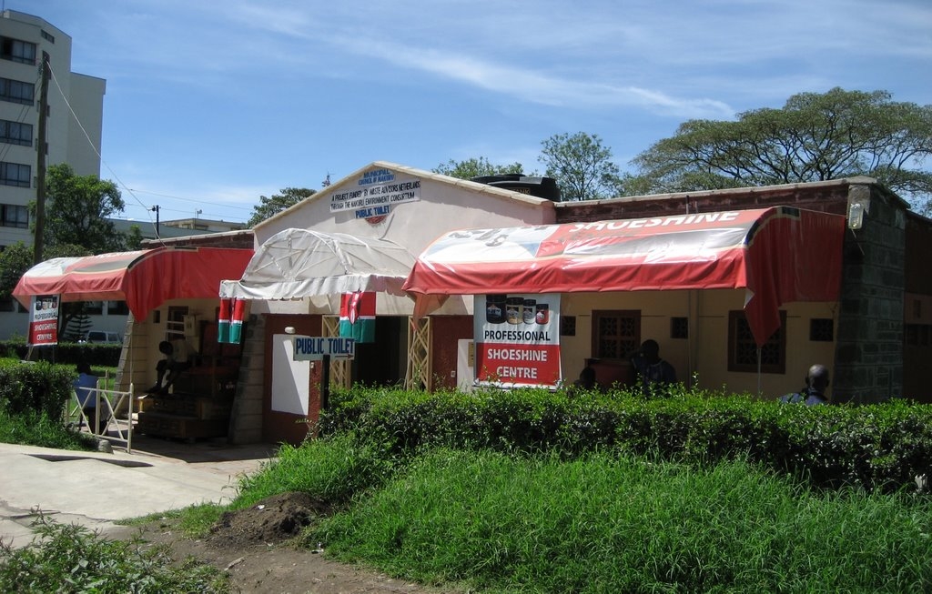 Financing Toilets: Acumen Fund’s workshop on social impact investing