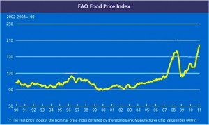 Food and Agriculture Organization of the United Nations