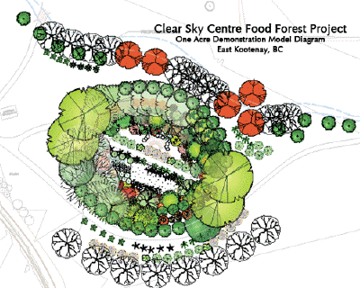 foodforest2