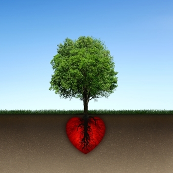 heart with tree