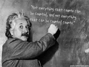 Albert Einstein SROI image