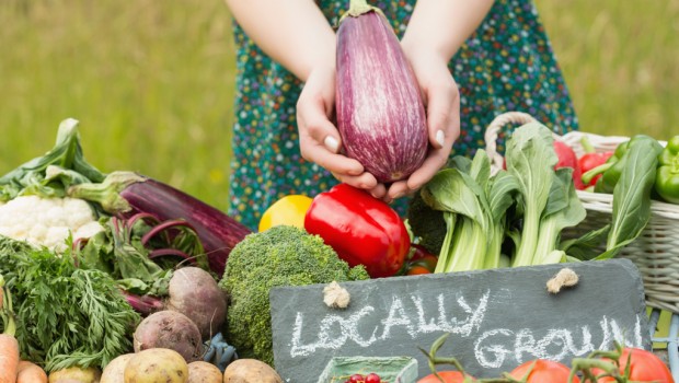 Social Enterprise in Manitoba’s North Tackles Food Security