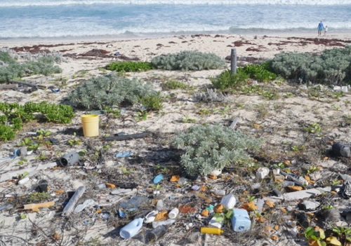 On a Mission to Eliminate Plastic Waste: Founder of Plaine Products shares her story