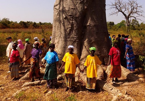 The Power of Superfood: Creating opportunities for women farmers in Africa