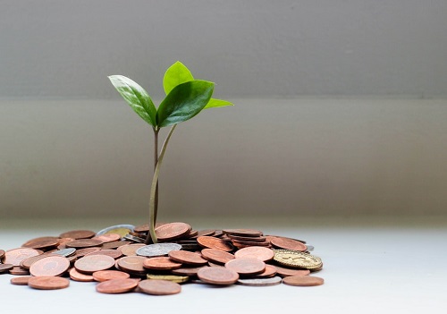 How to Crowdfund Your Green Business