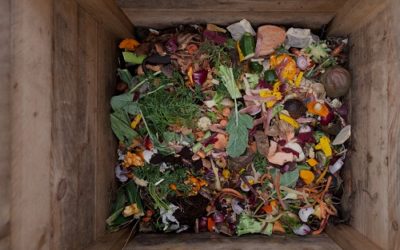 Quantifying Retail Food Waste in Support of Climate Goals
