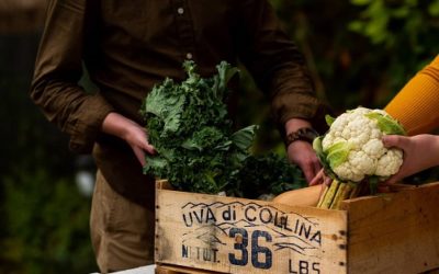 We Are What We Eat: How these social ventures embraced farm to table during the pandemic