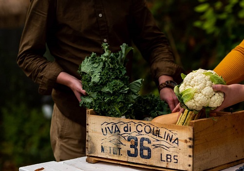 We Are What We Eat: How these social ventures embraced farm to table during the pandemic