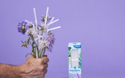 Sustainability At Your Table: Lauren Gropper of Repurpose