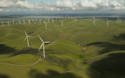 When ESG Hype and Reality Collide