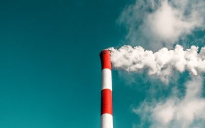 Advancing Voluntary Carbon Markets: Another tool to combat the effects of human activity on our planet