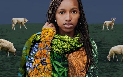 PETA Launches $1 Million Vegan Wool Challenge