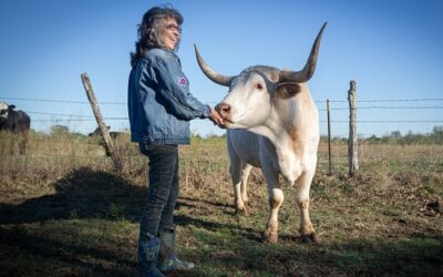 Founder of Rowdy Girl Sanctuary Talks Passion, Purpose – and the Hot Docs Film Festival