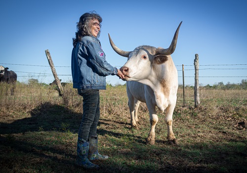 Founder of Rowdy Girl Sanctuary Talks Passion, Purpose – and the Hot Docs Film Festival