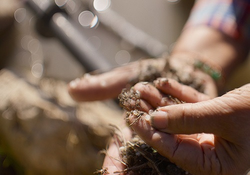 Documentary ‘Plastic People’ Investigates Threat of Microplastics on Human Health
